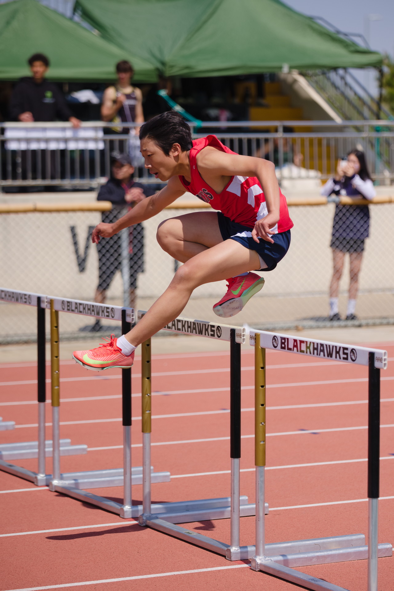 hurdles1.jpg