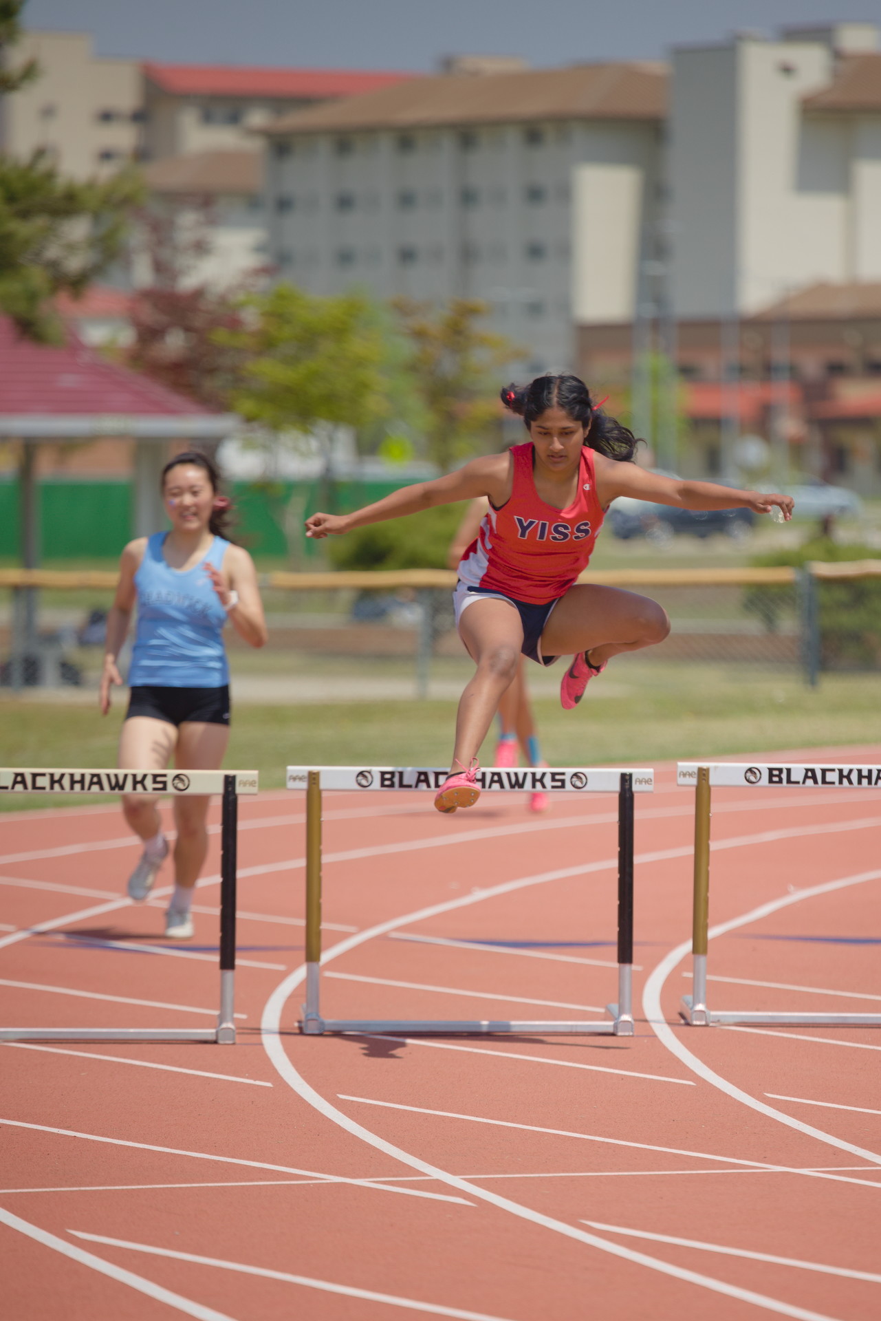 hurdles2.jpg